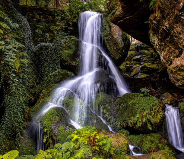 kirnitzschtal-saechsische-schweiz