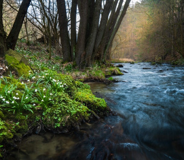 wandern-fruehling-saechsische-schweiz