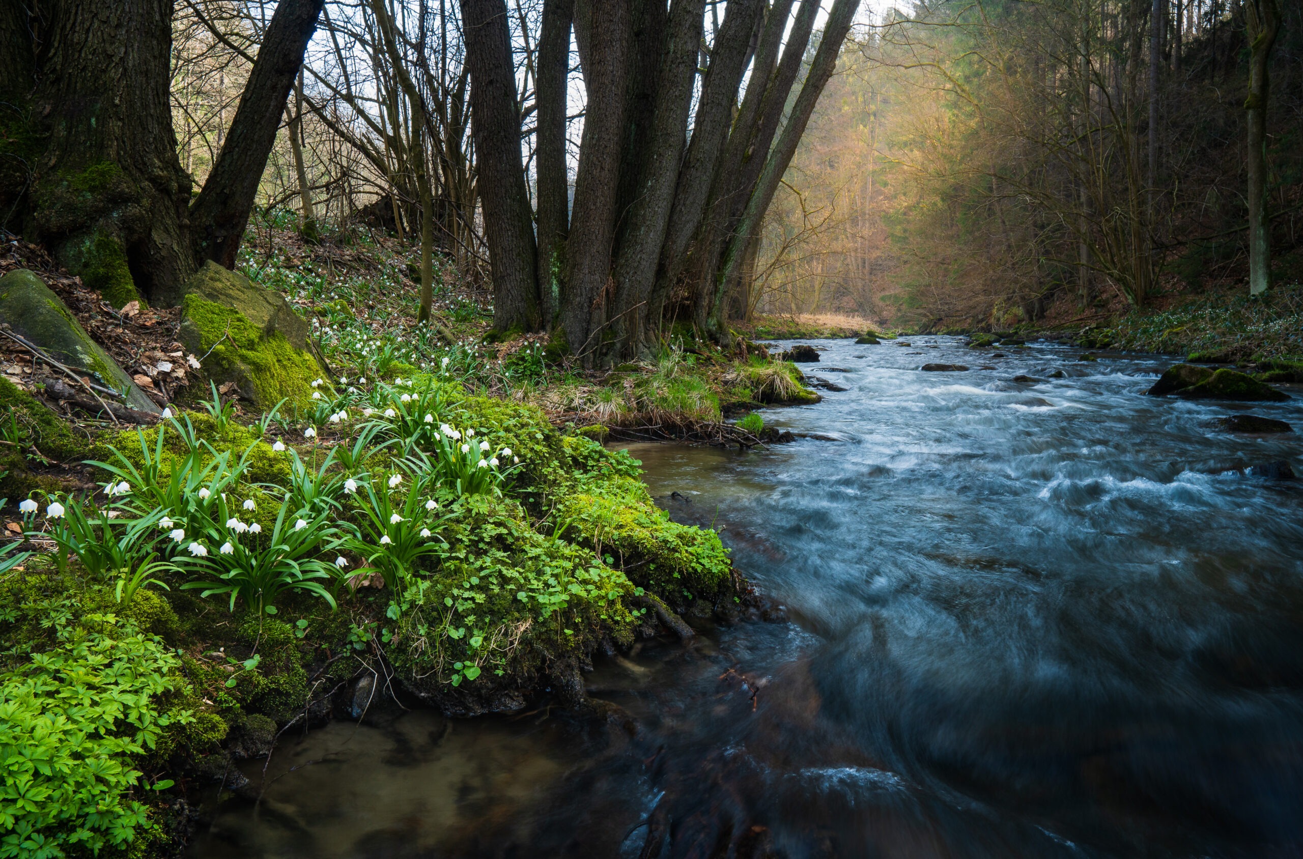 wandern-fruehling-saechsische-schweiz