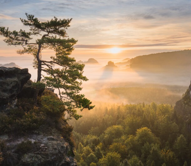 sonnenaufgang-im-elbsandsteingebirge