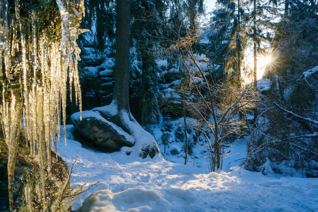 winterwanderung-goetzinger-hoehe